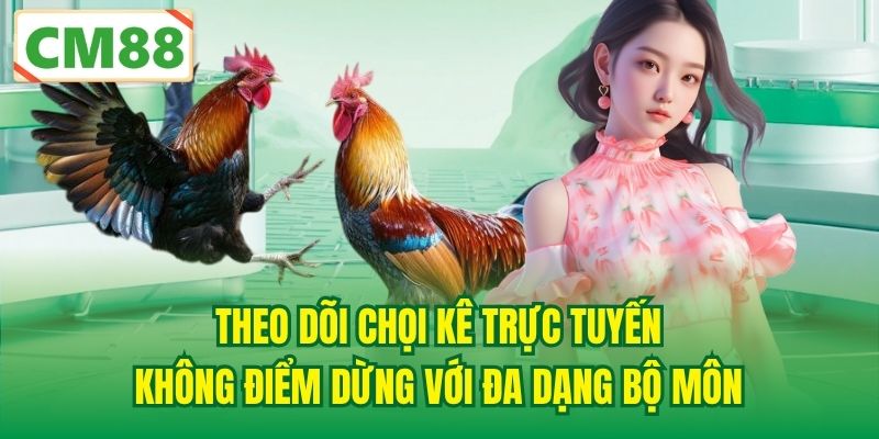 Theo dõi chọi kê trực tuyến không điểm dừng với đa dạng bộ môn